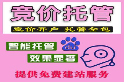 案例分享：SEM推广优化策略解析